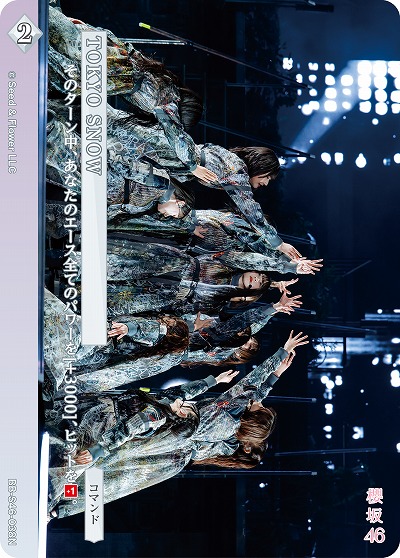 TOKYO SNOW 【BB-S46-038N】